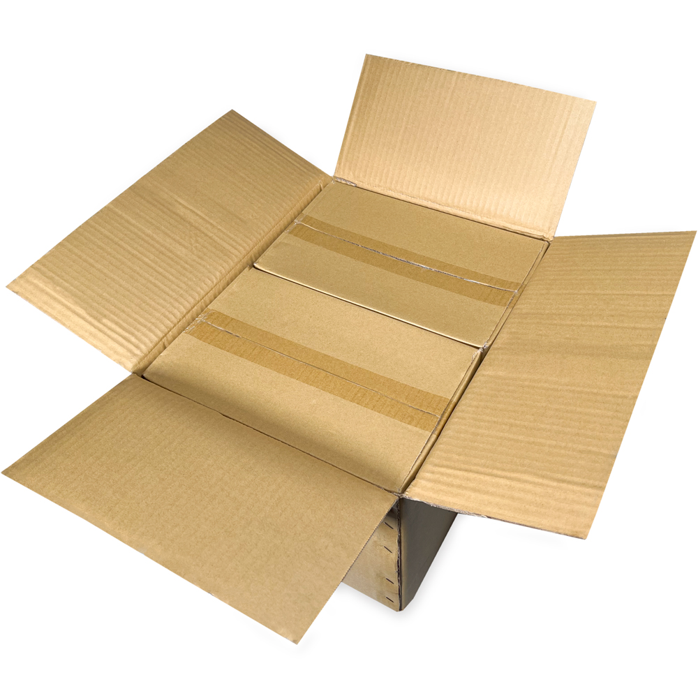 Master Case of 12 x 12 4 Mil Clearzip Lock Top Bags