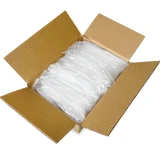 Case of 2 x 3 Clearzip® Locking Top Bags 2 Mil