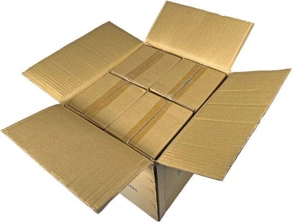 Mastercase of 4 x 4 Clearzip Locking Top Bags 2 Mil