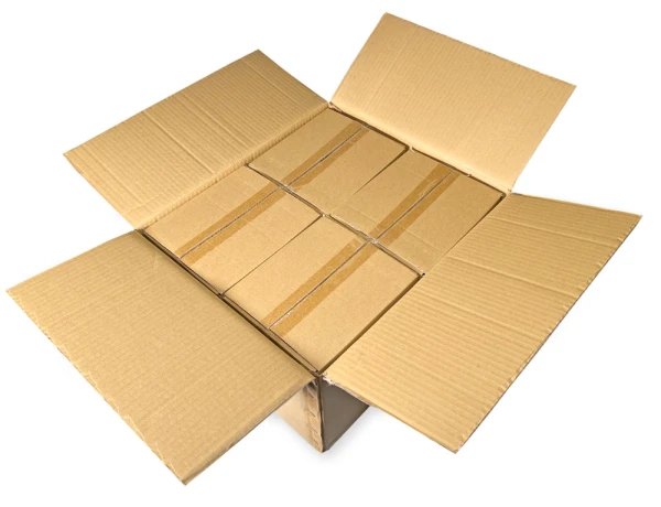 4x7 2 Mil Clearzip Lock Top Bags Master Case Master Case of 4 x 7 Clearzip Locking Top Bags 2 Mil