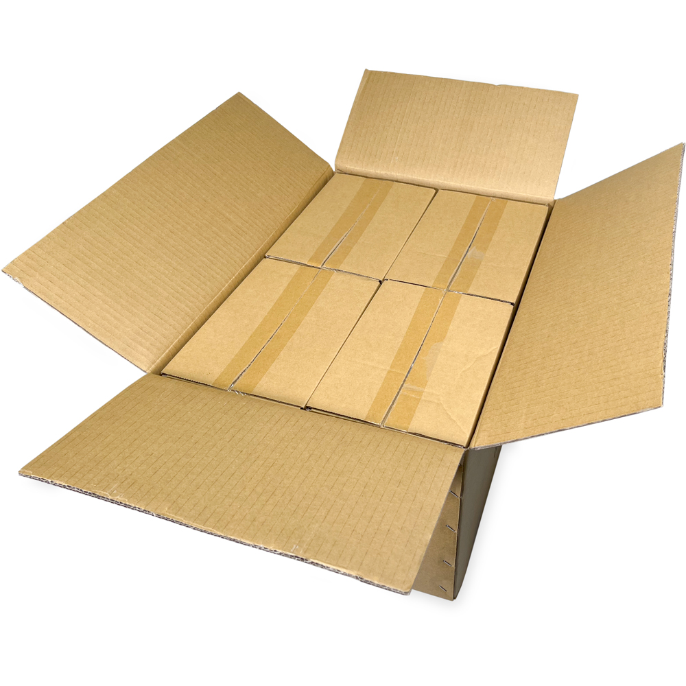 Master Case of 6 x 6 4 Mil Clearzip Lock Top Bags