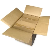 Master Case of 8 x 10 2 Mil Clearzip Lock Top Bags