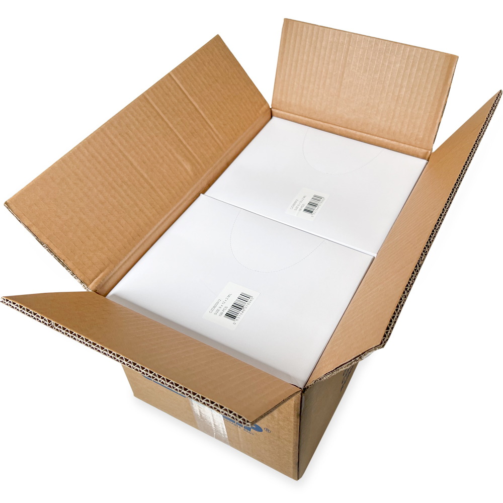 Master Case of 9 x 12 2 Mil Clearzip Lock Top Bags w/ Dispenser Box